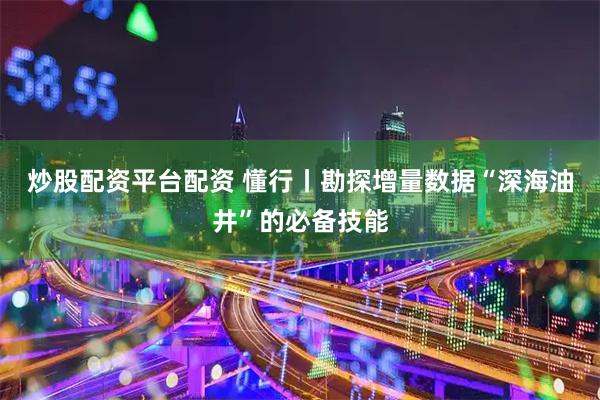 炒股配资平台配资 懂行丨勘探增量数据“深海油井”的必备技能