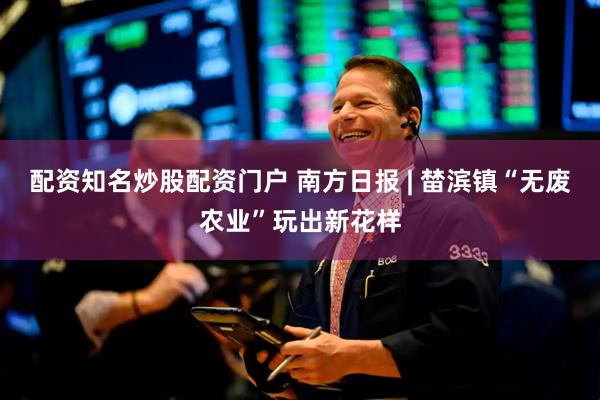 配资知名炒股配资门户 南方日报 | 榃滨镇“无废农业”玩出新花样
