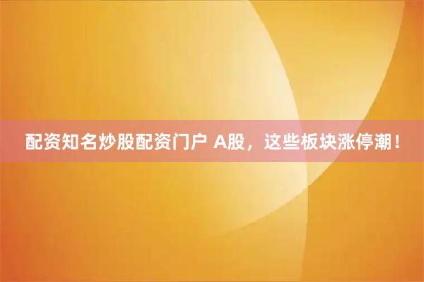 配资知名炒股配资门户 A股，这些板块涨停潮！